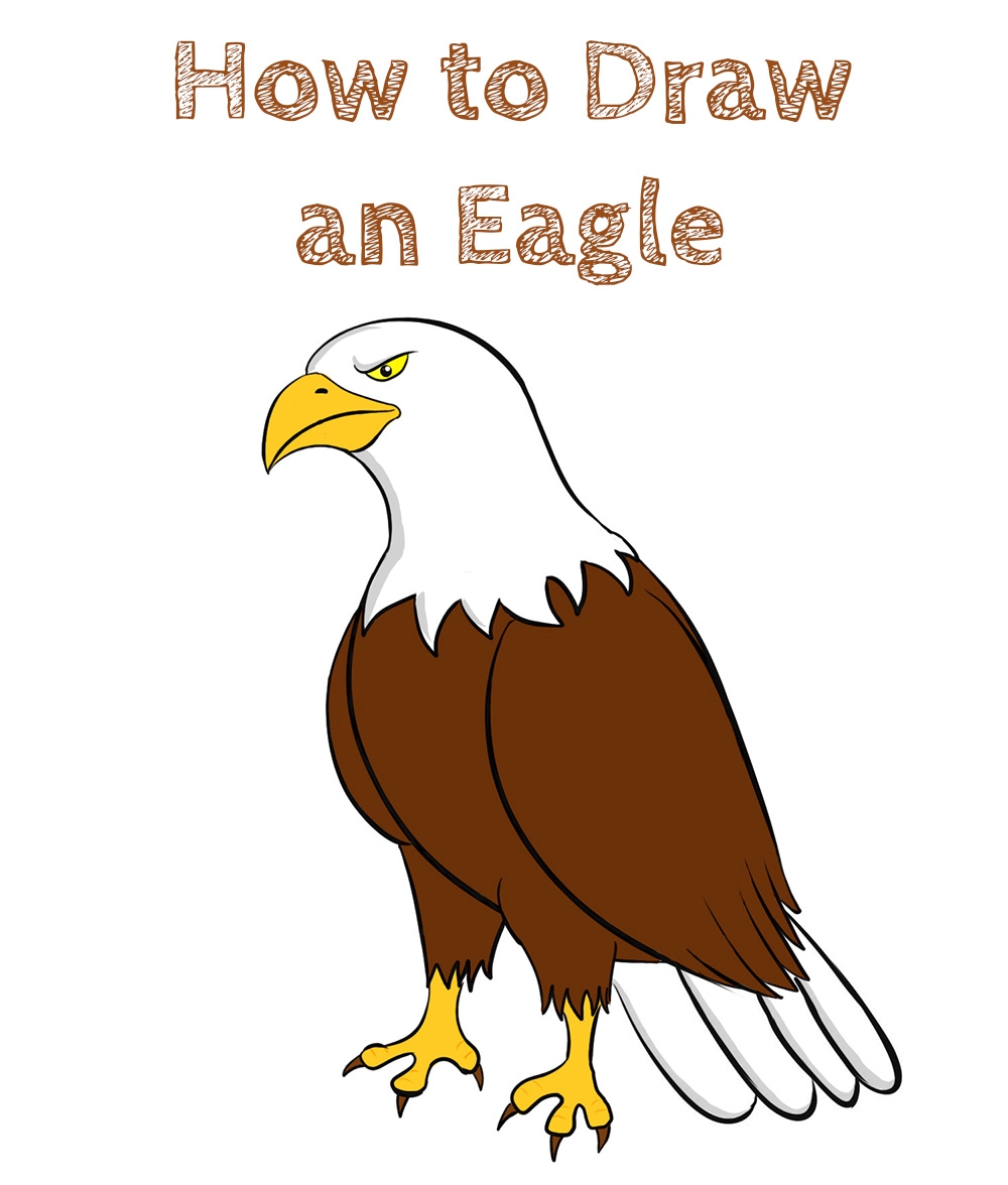 easy drawing of an eagle