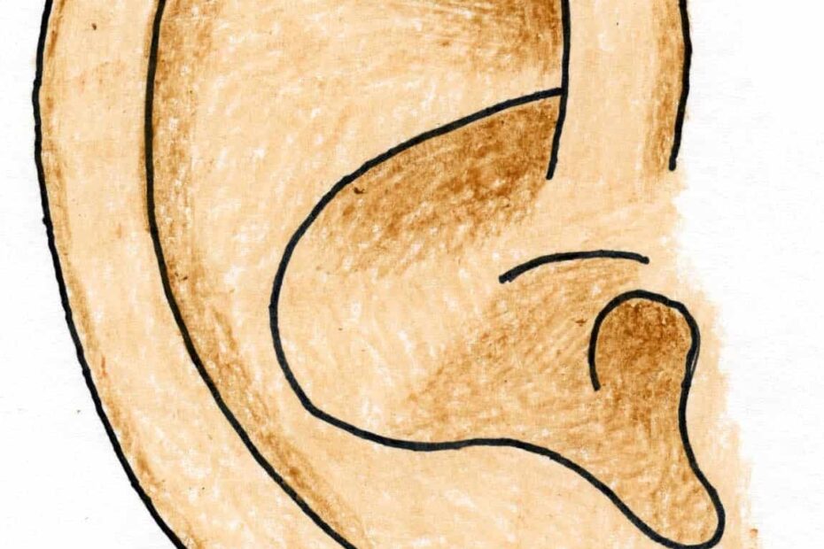 How To Draw An Ear Easy Step by Step Art Lesson