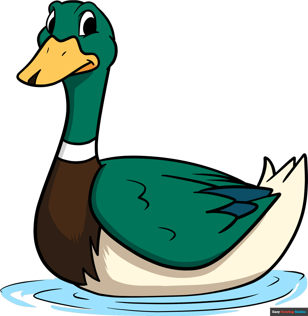 How To Draw An Easy Mallard Duck Really Easy Drawing Tutorial