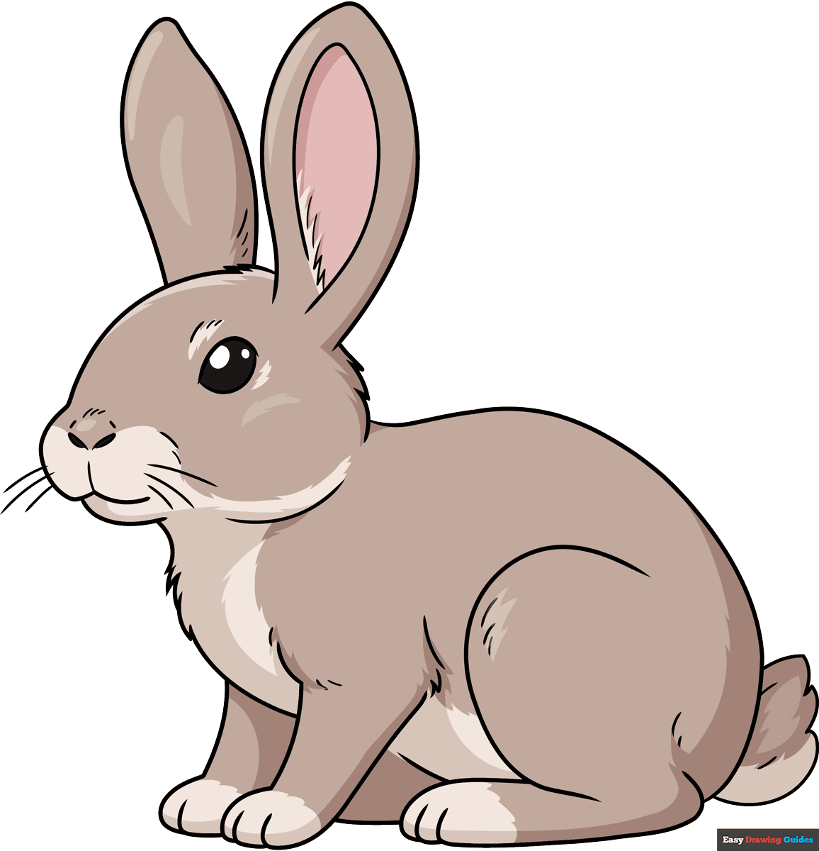bunny cartoon drawing bunny cartoon drawing