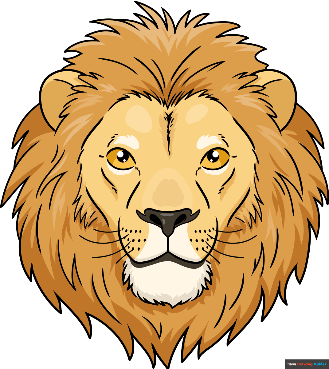 how to draw a lion