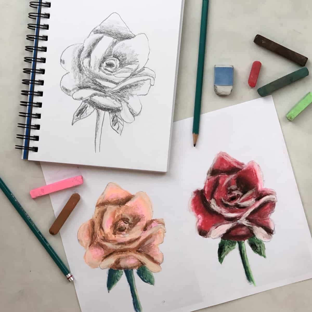 roses to draw