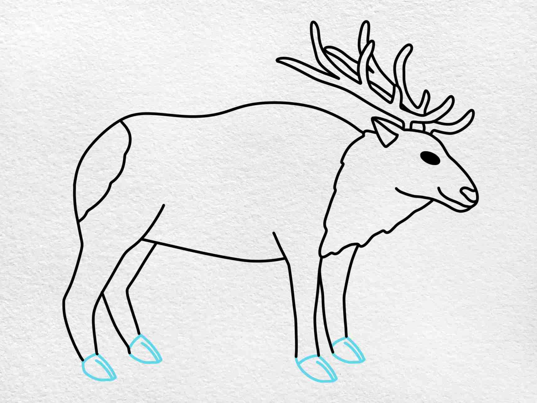 How To Draw An Elk HelloArtsy