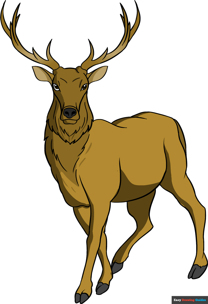 elk drawing