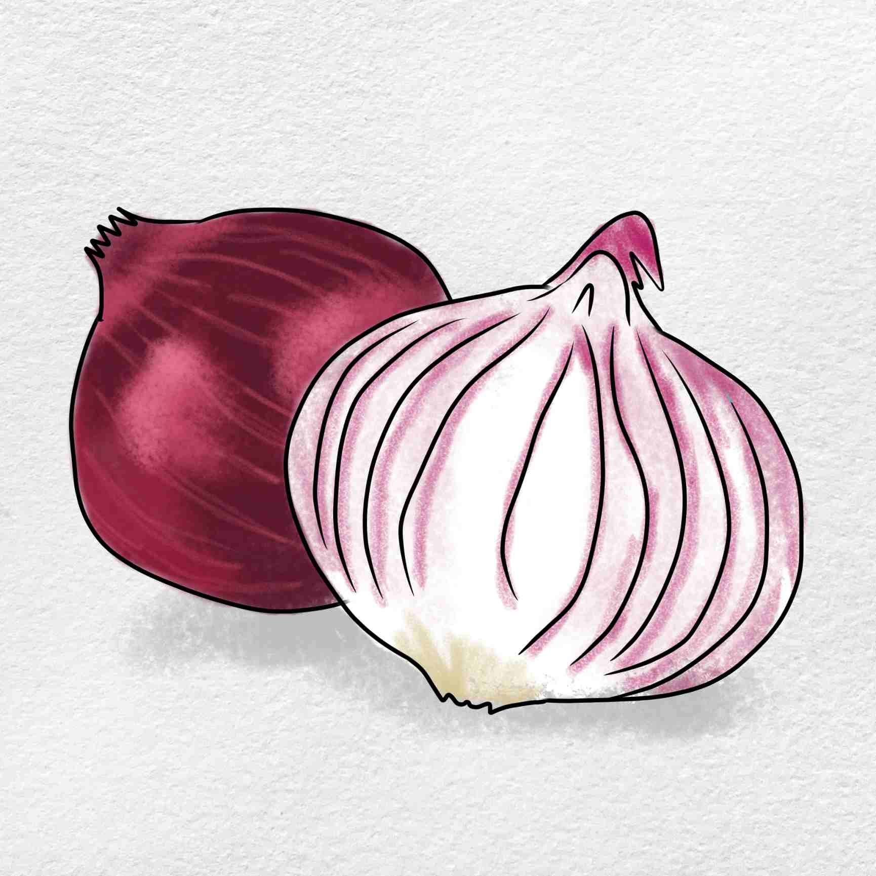 How To Draw An Onion HelloArtsy