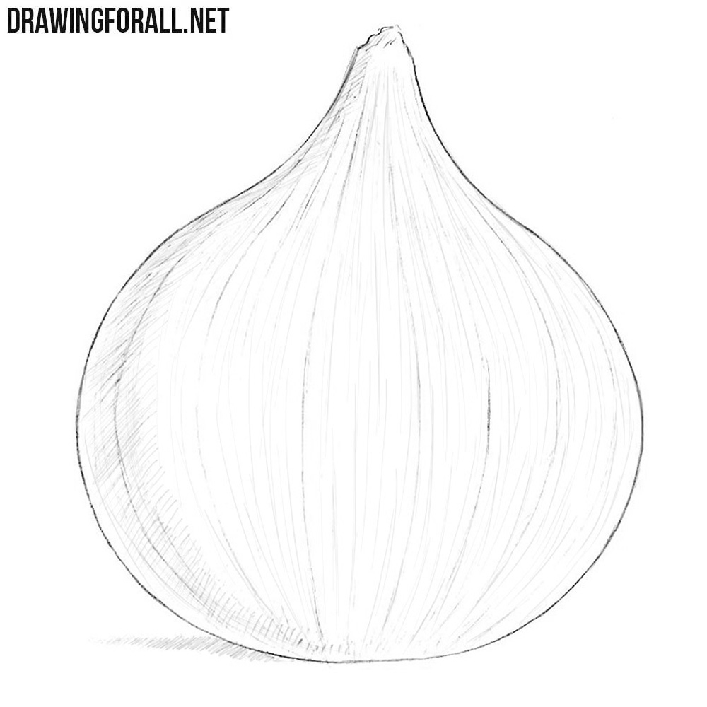 How To Draw An Onion