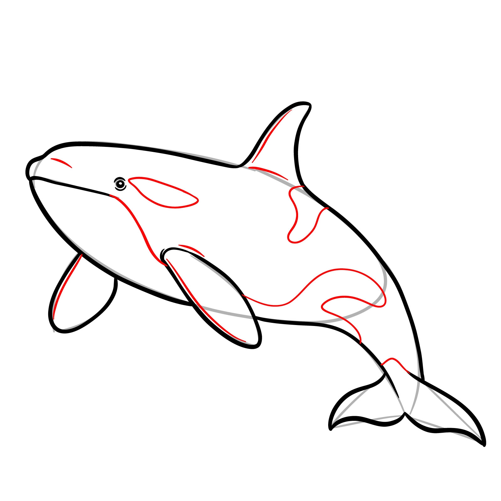How To Draw An Orca Easy Killer Whale Drawing Tutorial