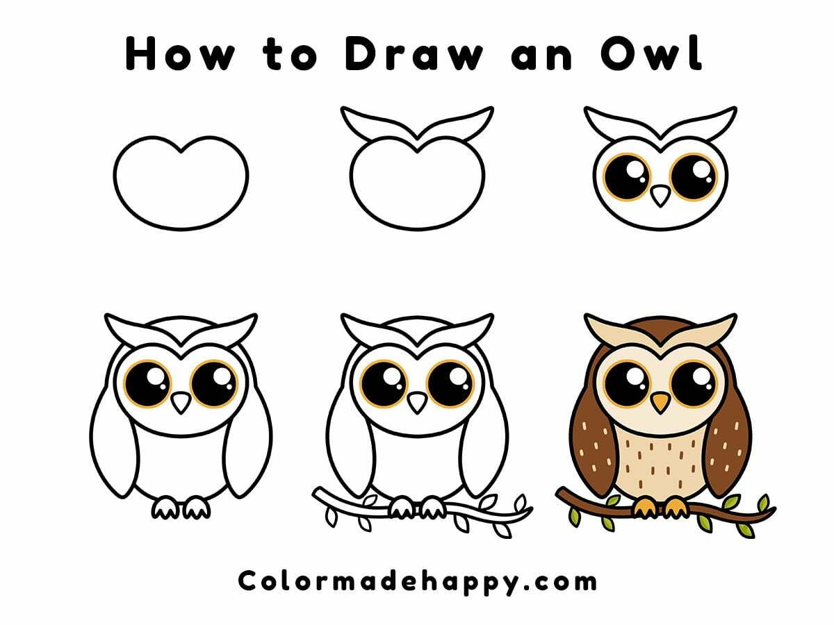how to draw a an owl