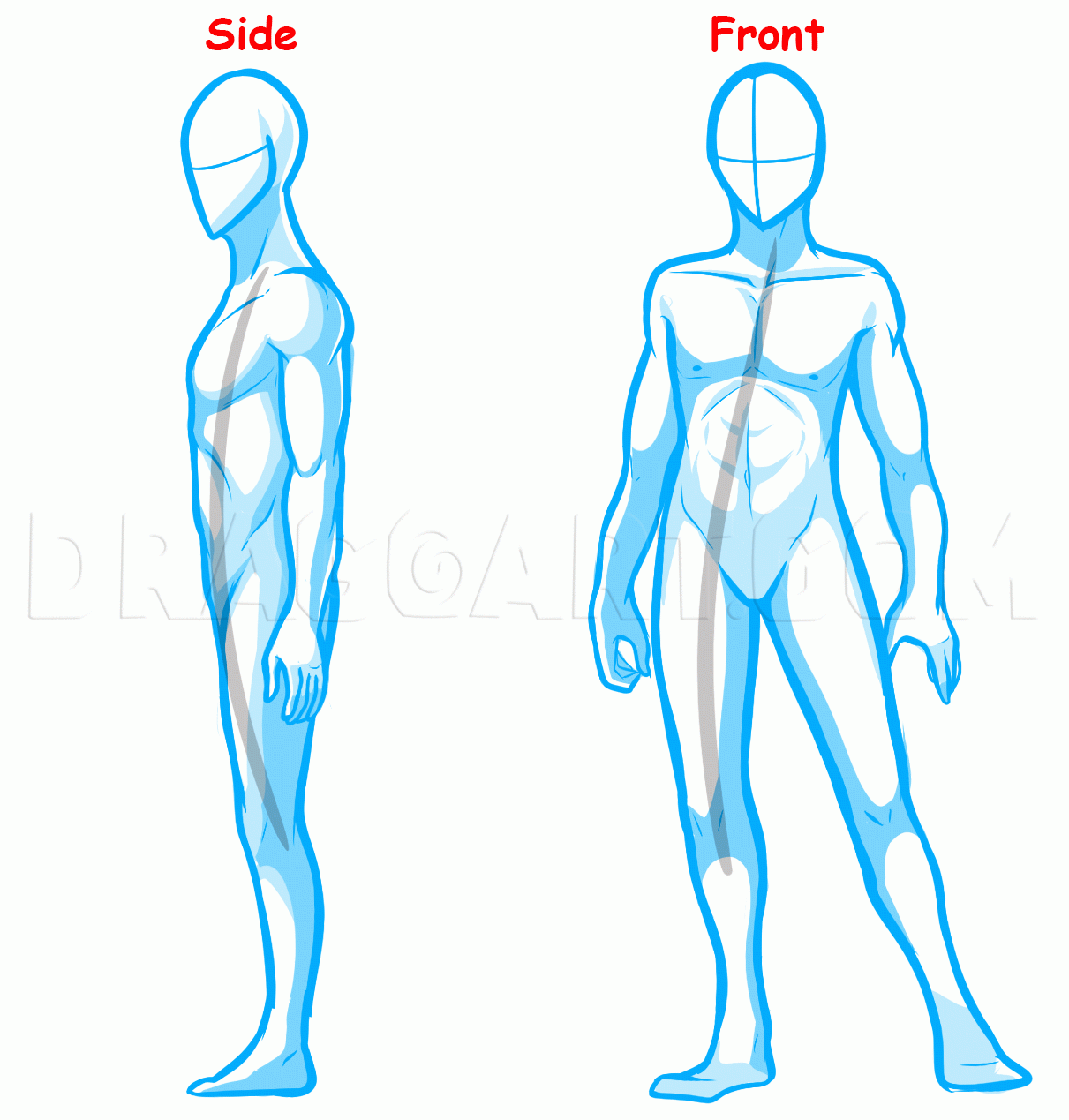 How To Draw Anime Bodies Draw Anime Body Figures Drawing Step By Step By Dawn DragoArt