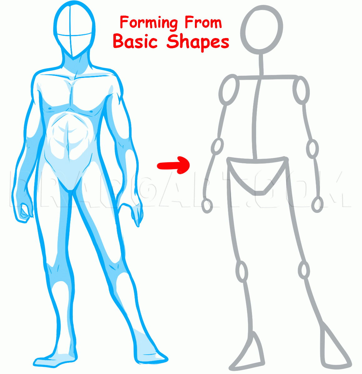 how to draw bodies