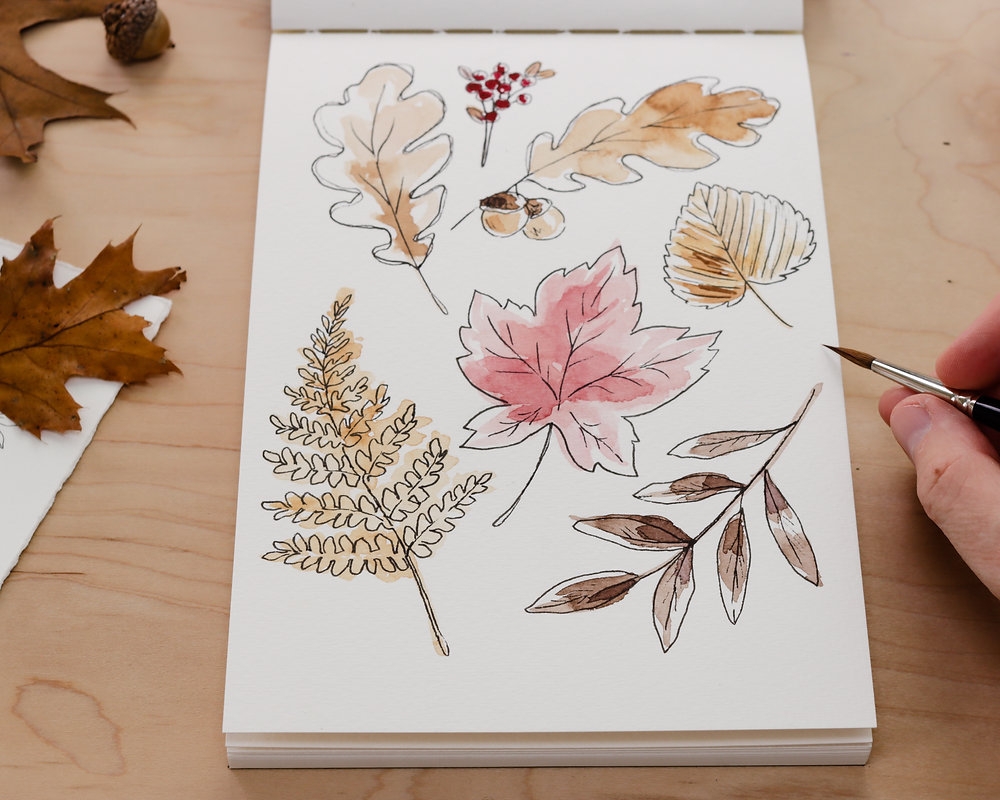 How To Draw Autumn Leaves