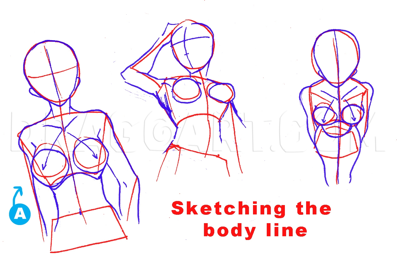 how do you draw boobs