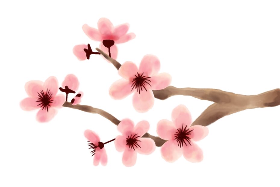How To Draw Cherry Blossoms Design School