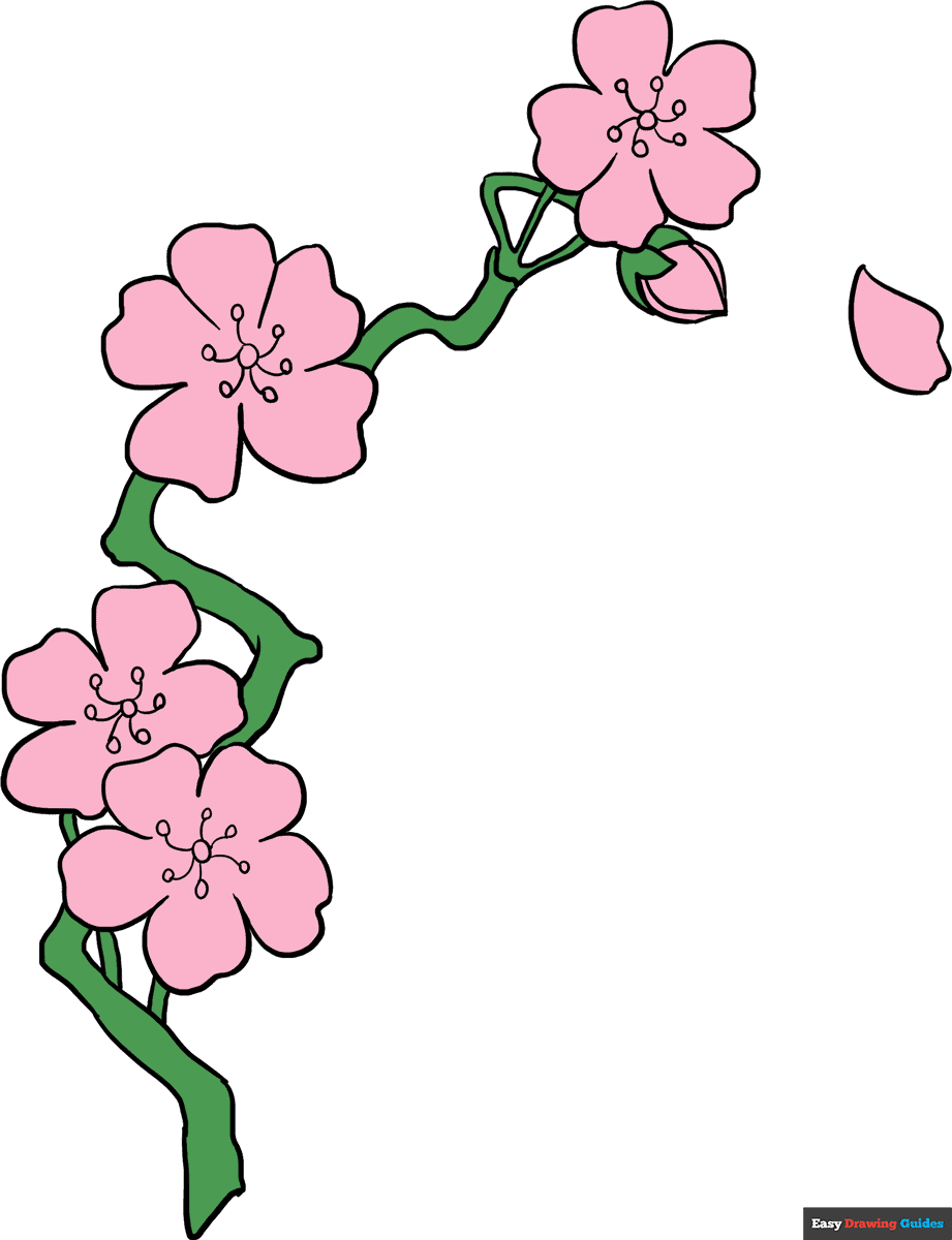 How To Draw Cherry Blossoms Really Easy Drawing Tutorial