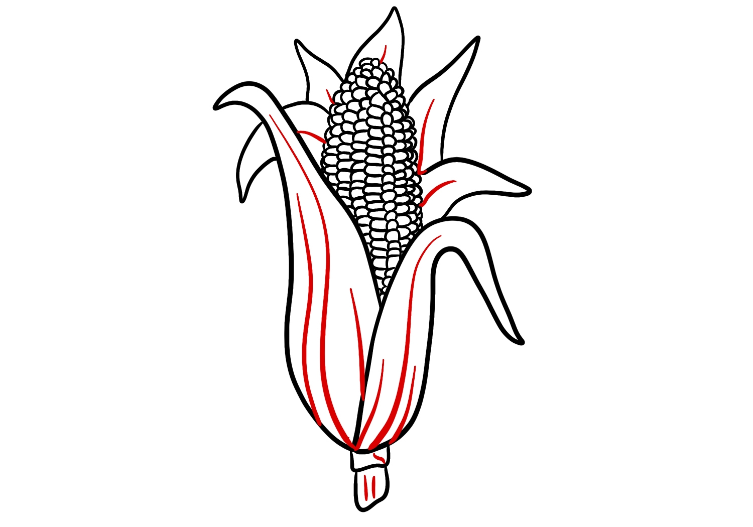 drawing corn