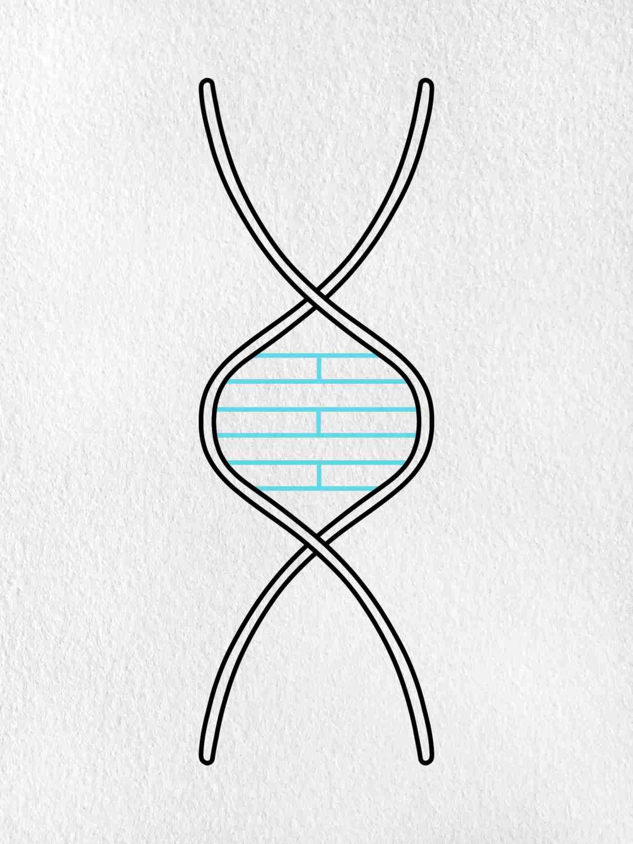 draw dna