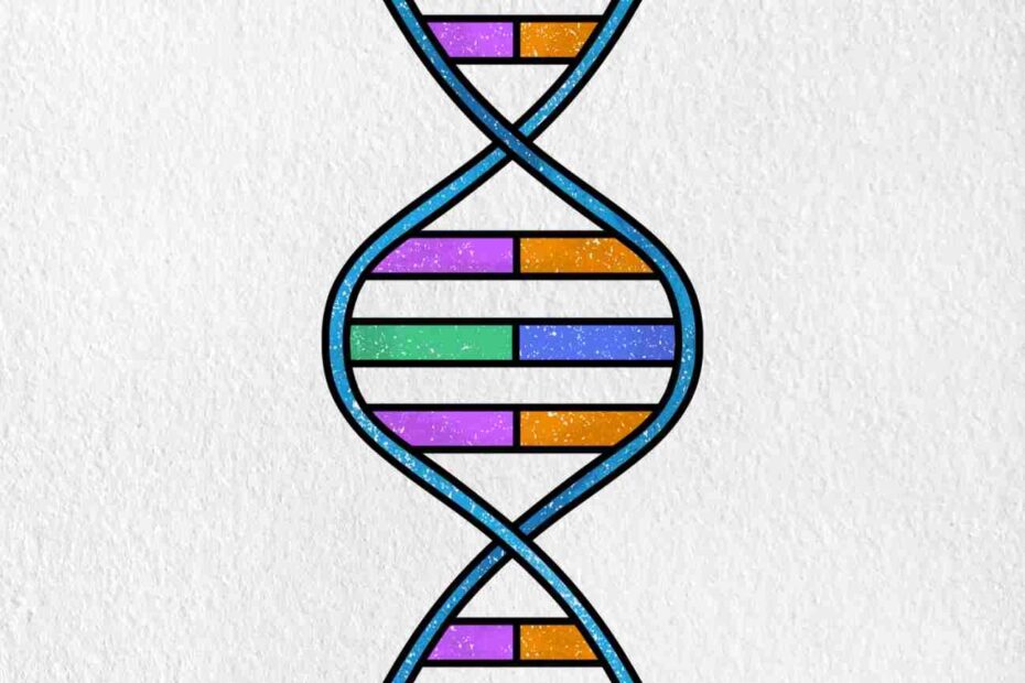How To Draw DNA HelloArtsy