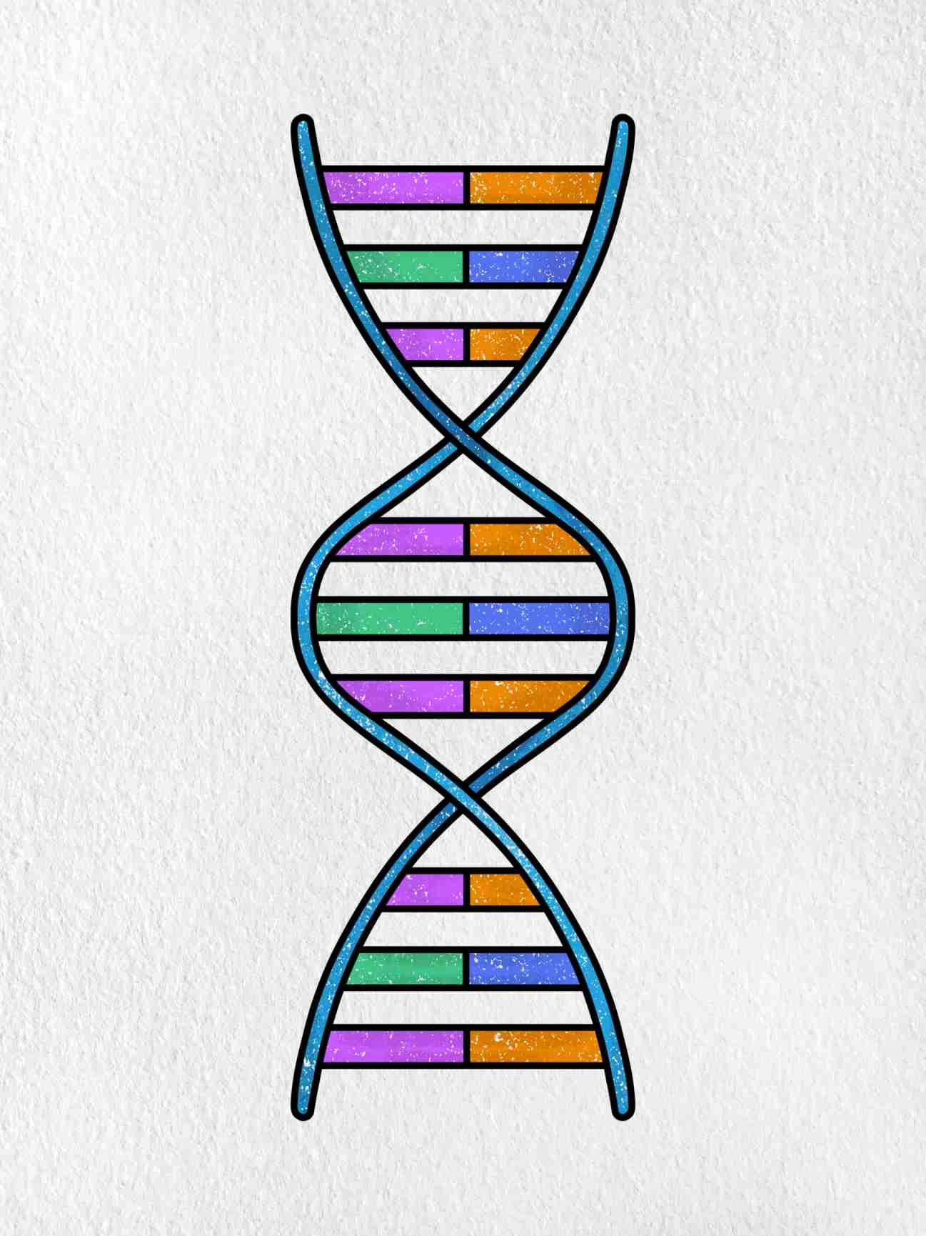 How To Draw DNA HelloArtsy