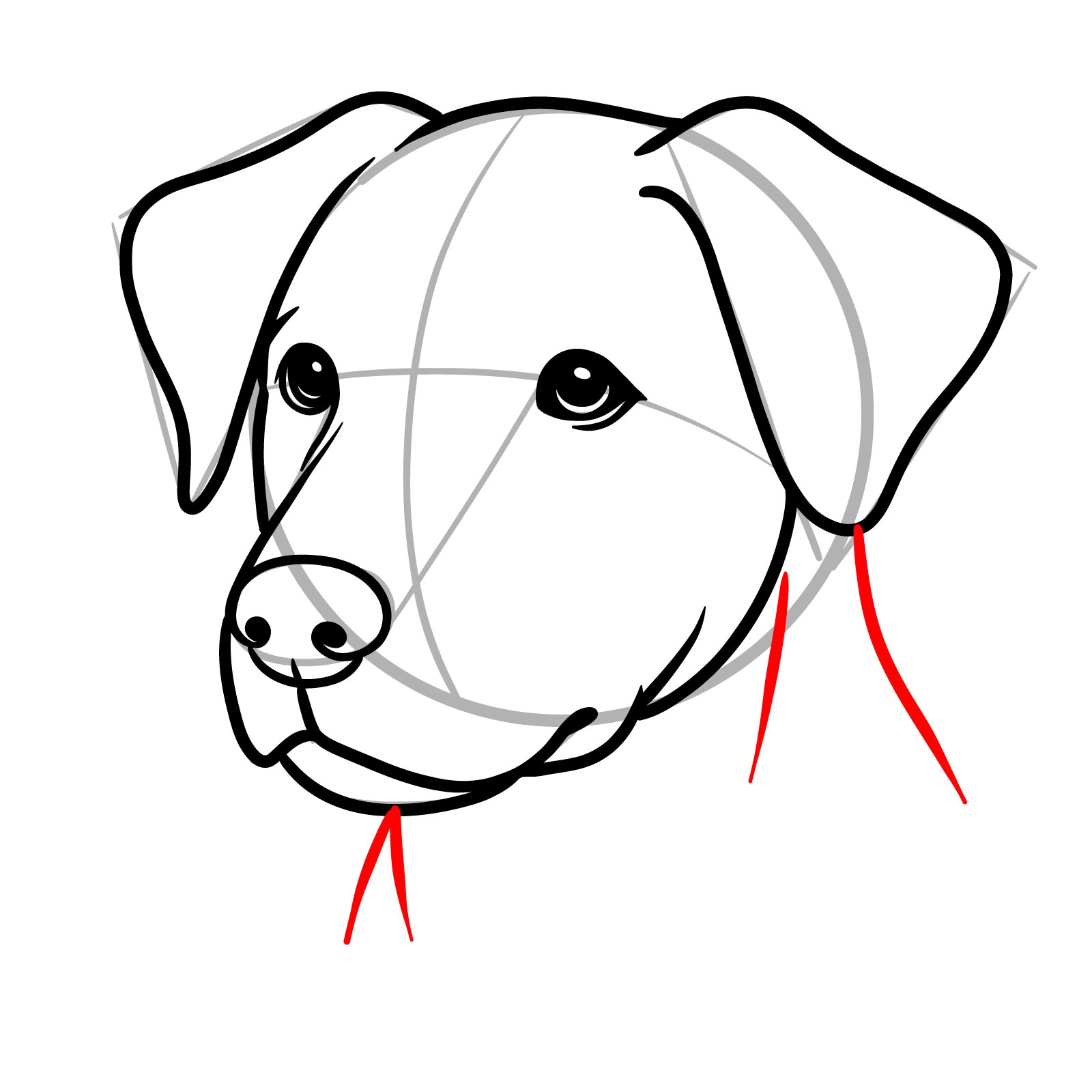 How To Draw Dogs 12 Easy Guides For Every Pose And Style