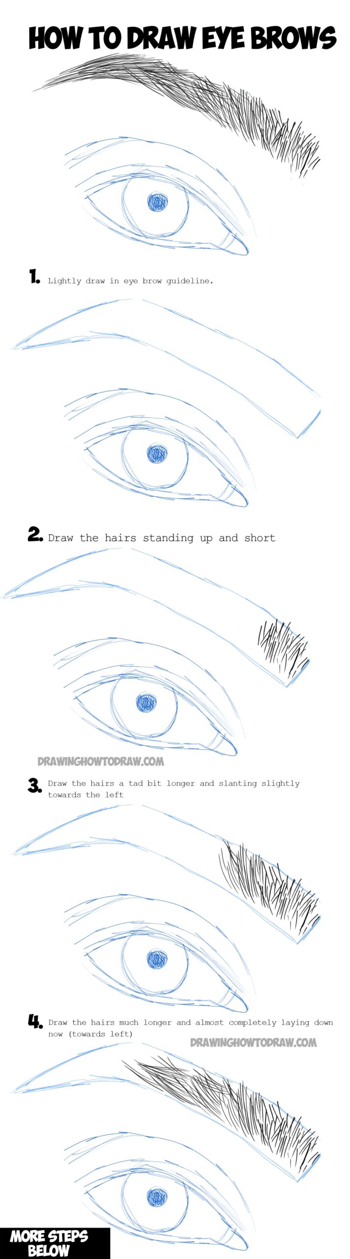 How To Draw Eye Brows Step By Step Drawing Tutorial How To Draw 