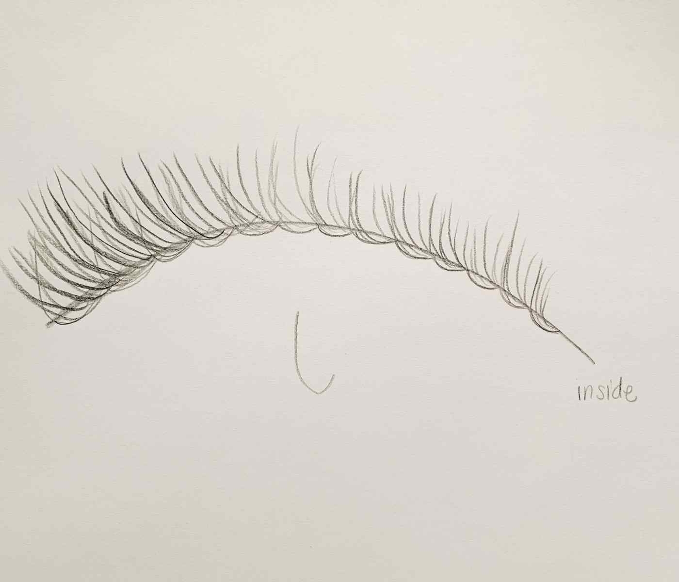 how to draw the eyelashes