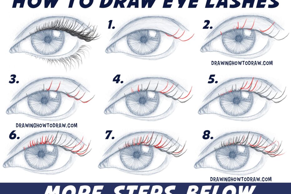 How To Draw Eyelashes Women s And Men s Easy Step By Step Drawing Tutorial For Beginners How To Draw Step By Step Drawing Tutorials