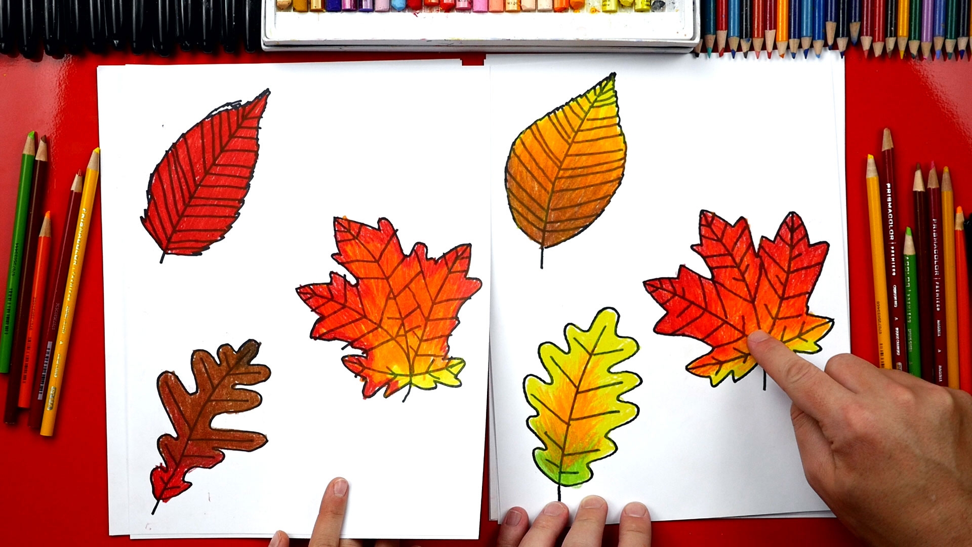 how to draw fall leaves