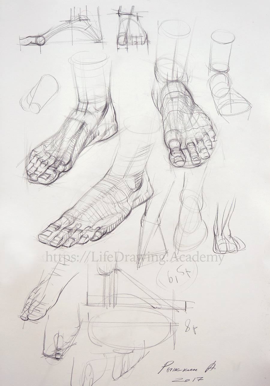 How To Draw Feet From Life Life Drawing Academy