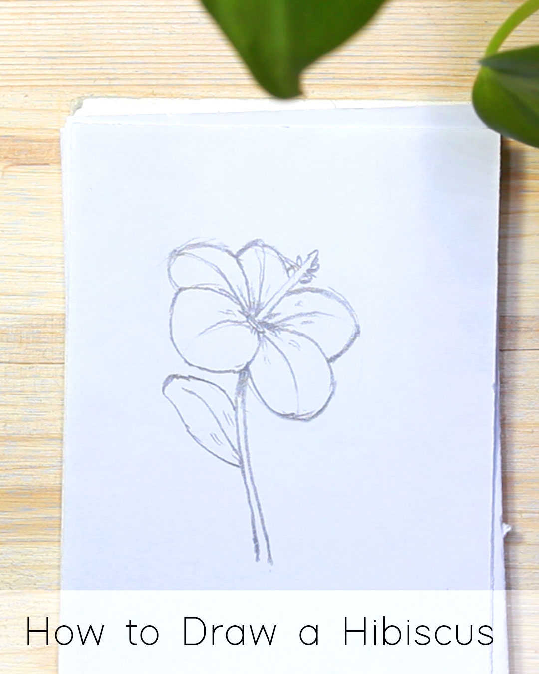 simple drawings of flowers