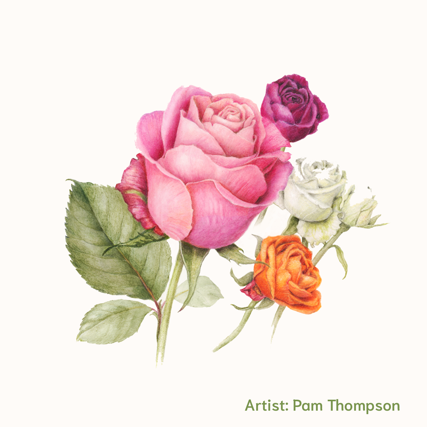draw beautiful flowers
