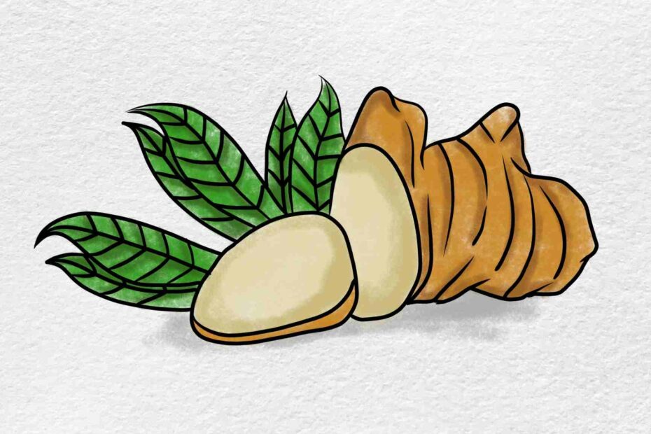 How To Draw Ginger HelloArtsy