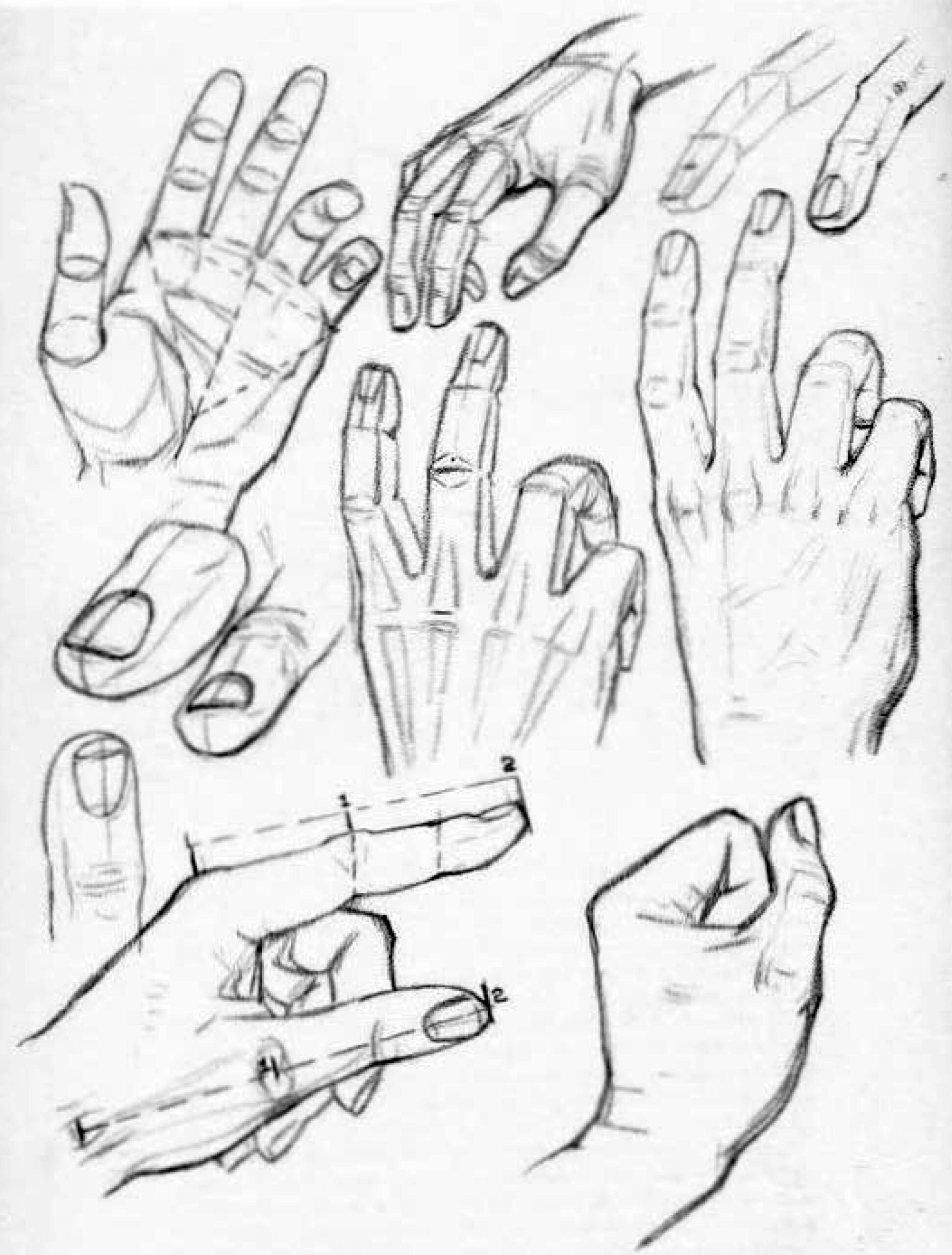 How To Draw Hands Reference Sheets And Guides To Drawing Hands How To Draw Step By Step Drawing Tutorials