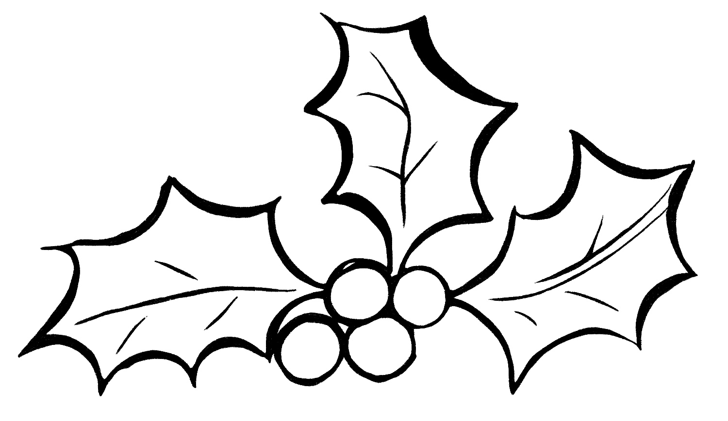 How To Draw Holly Leaves 3 Easy Steps The Graphics Fairy