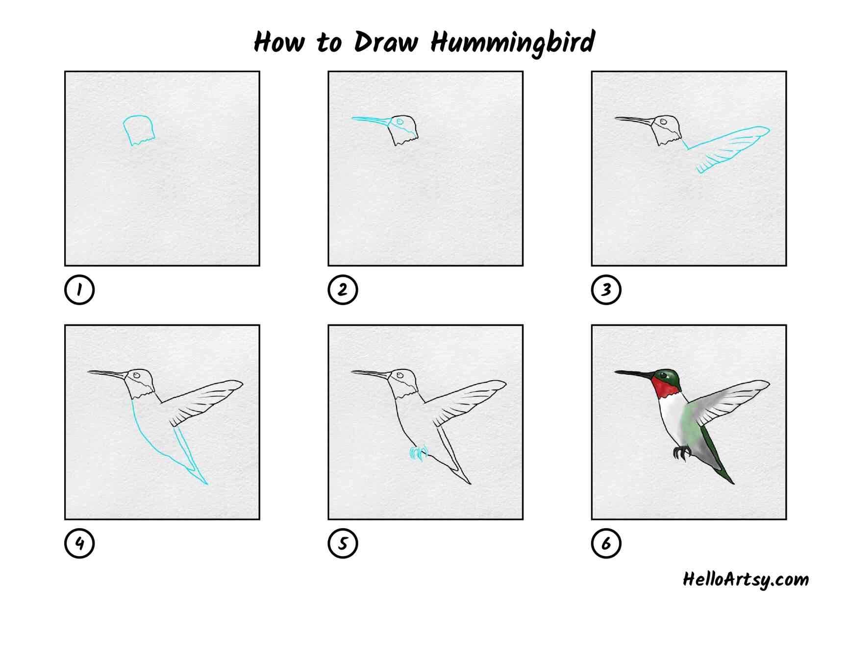 how to draw a hummingbird
