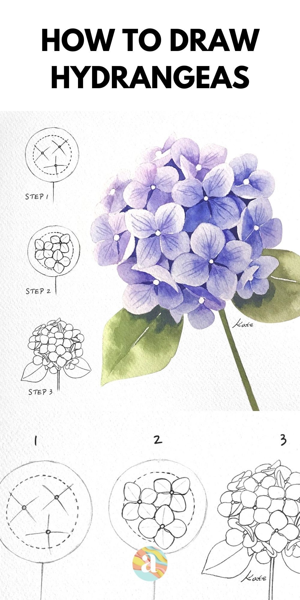 How To Draw Hydrangeas
