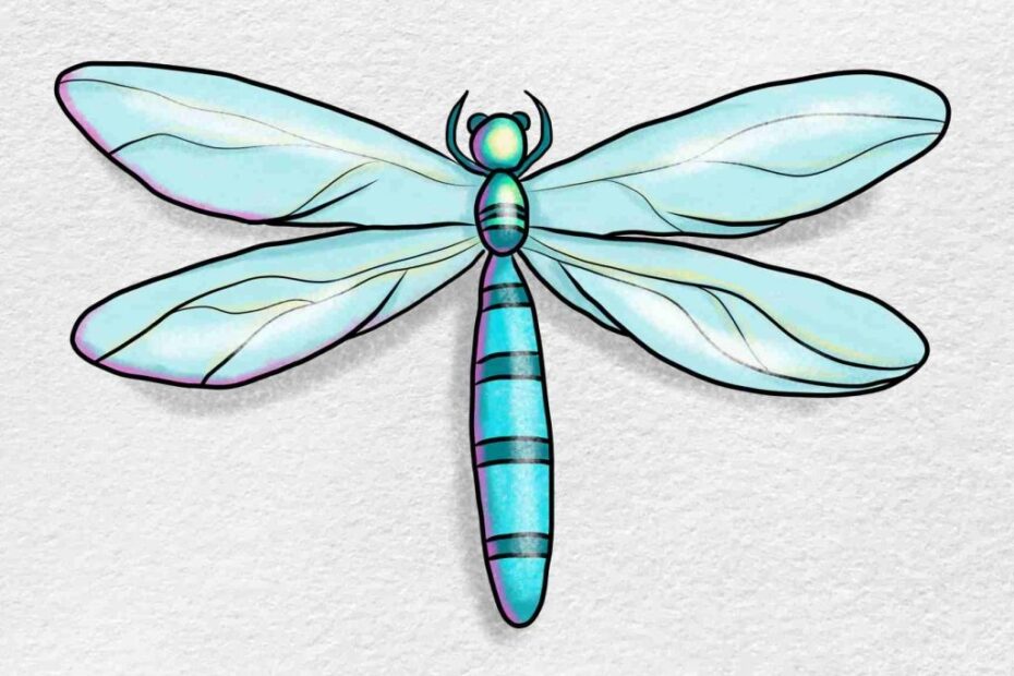 How To Draw Insects HelloArtsy