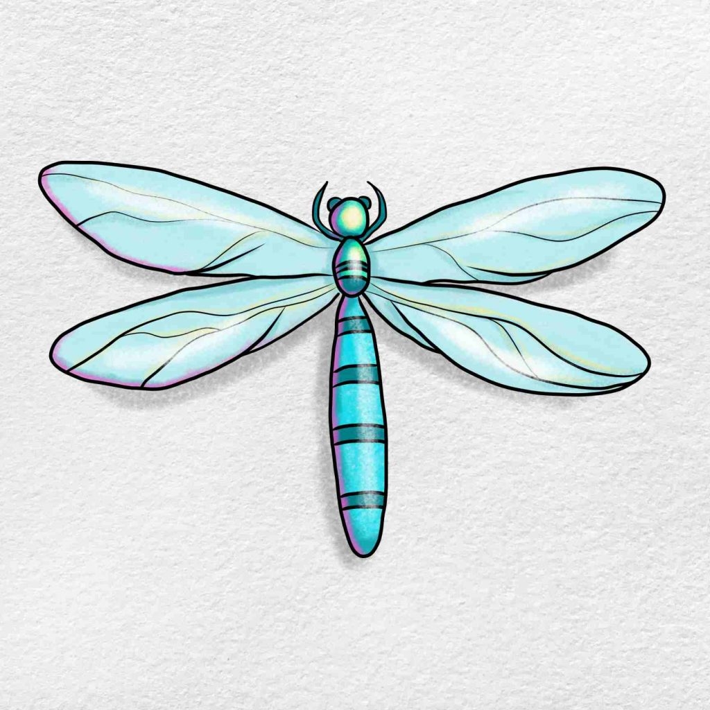 How To Draw Insects HelloArtsy