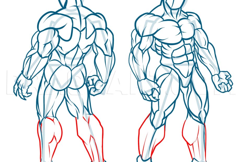 How To Draw Muscles Drawing Step By Step By KingTutorial DragoArt