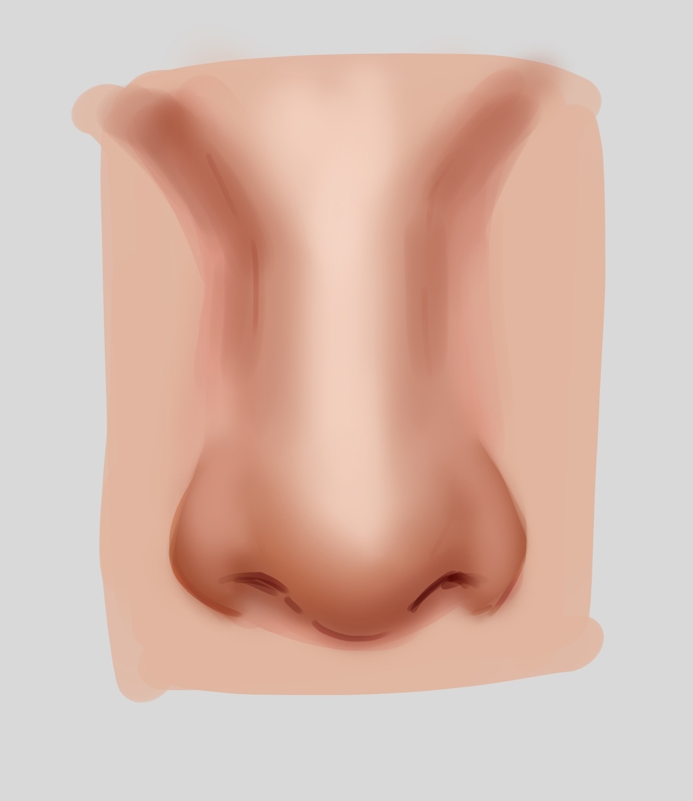 drawing noses