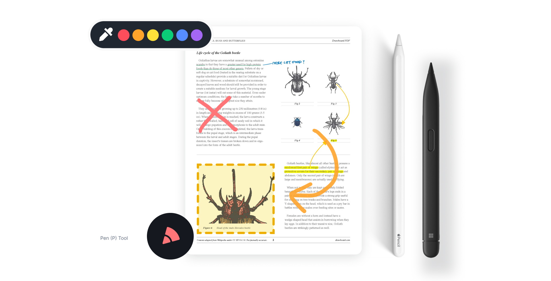 How To Draw On A PDF With Drawboard PDF Drawboard