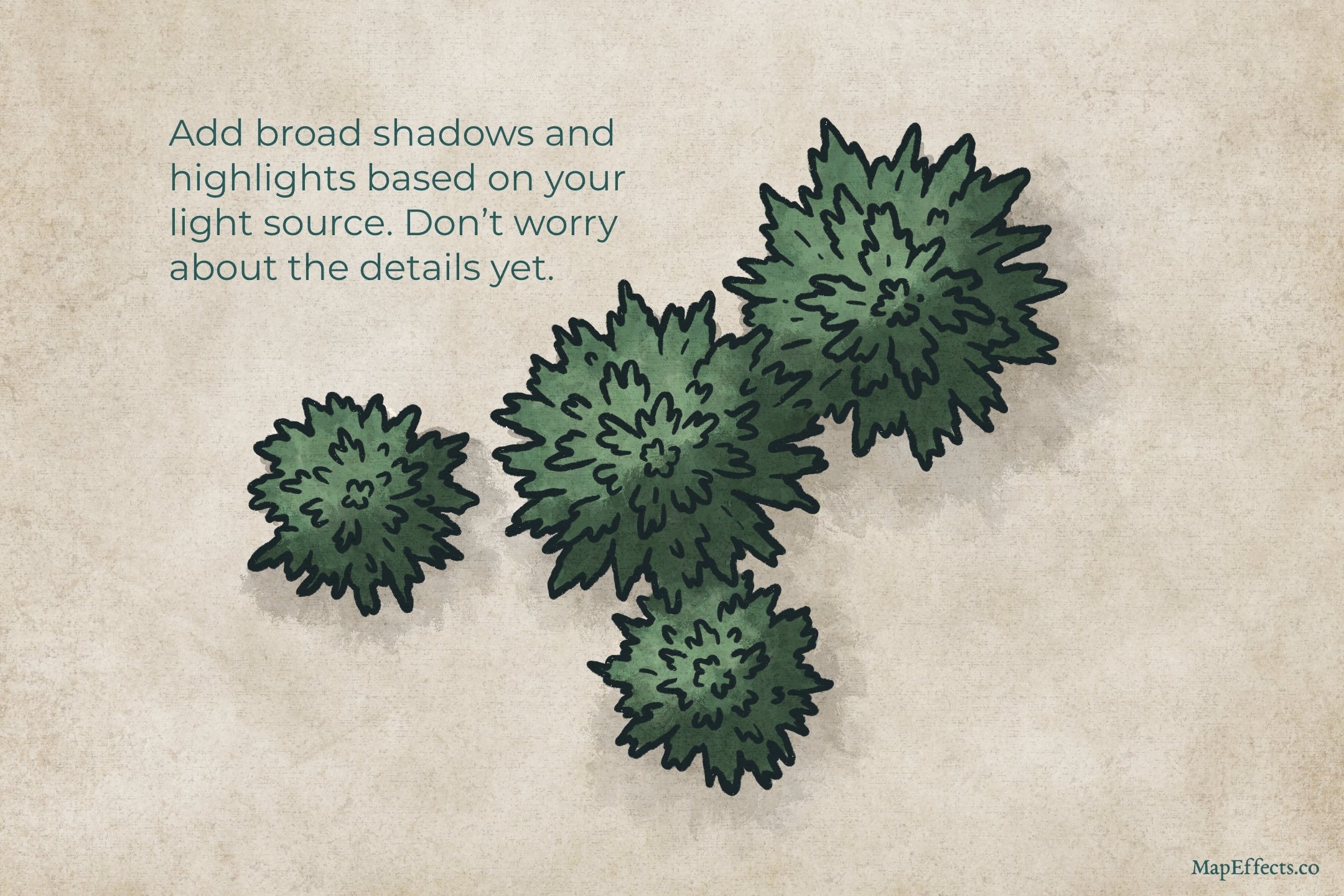 How To Draw Pine Trees Top Down Perspective Map Effects