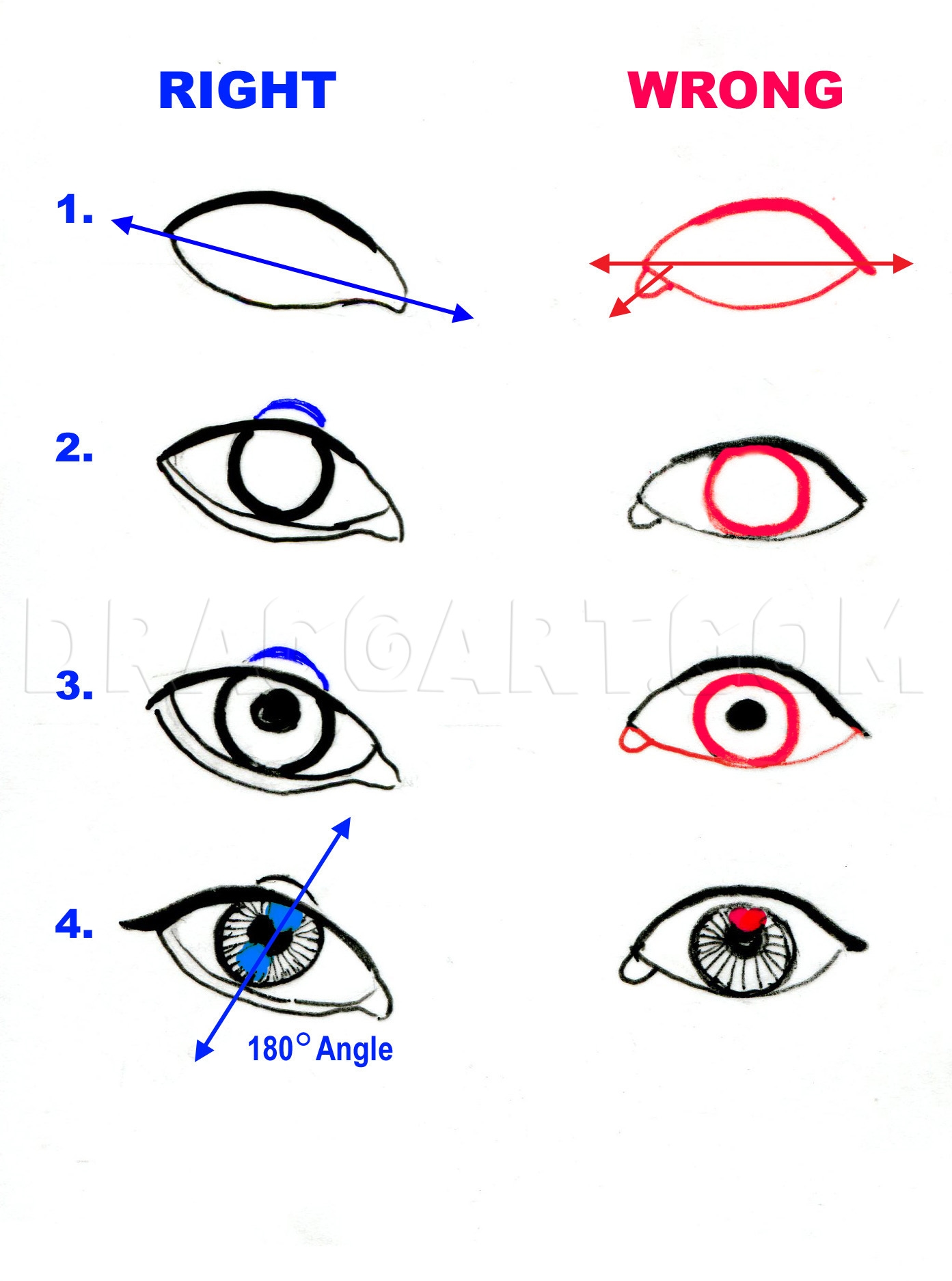 How To Draw Realistic Eyes Sketch Eyes Drawing Step By Step By Catlucker DragoArt