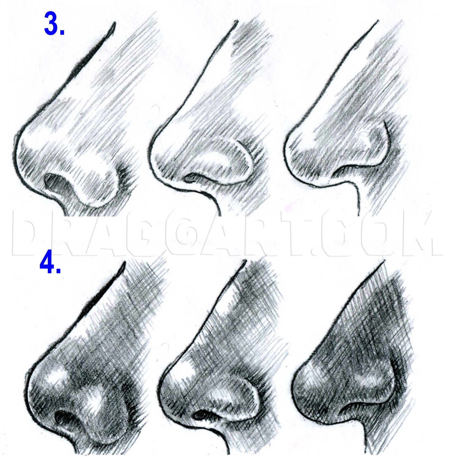 How To Draw Realistic Noses Draw Noses Drawing Step By Step By Catlucker DragoArt