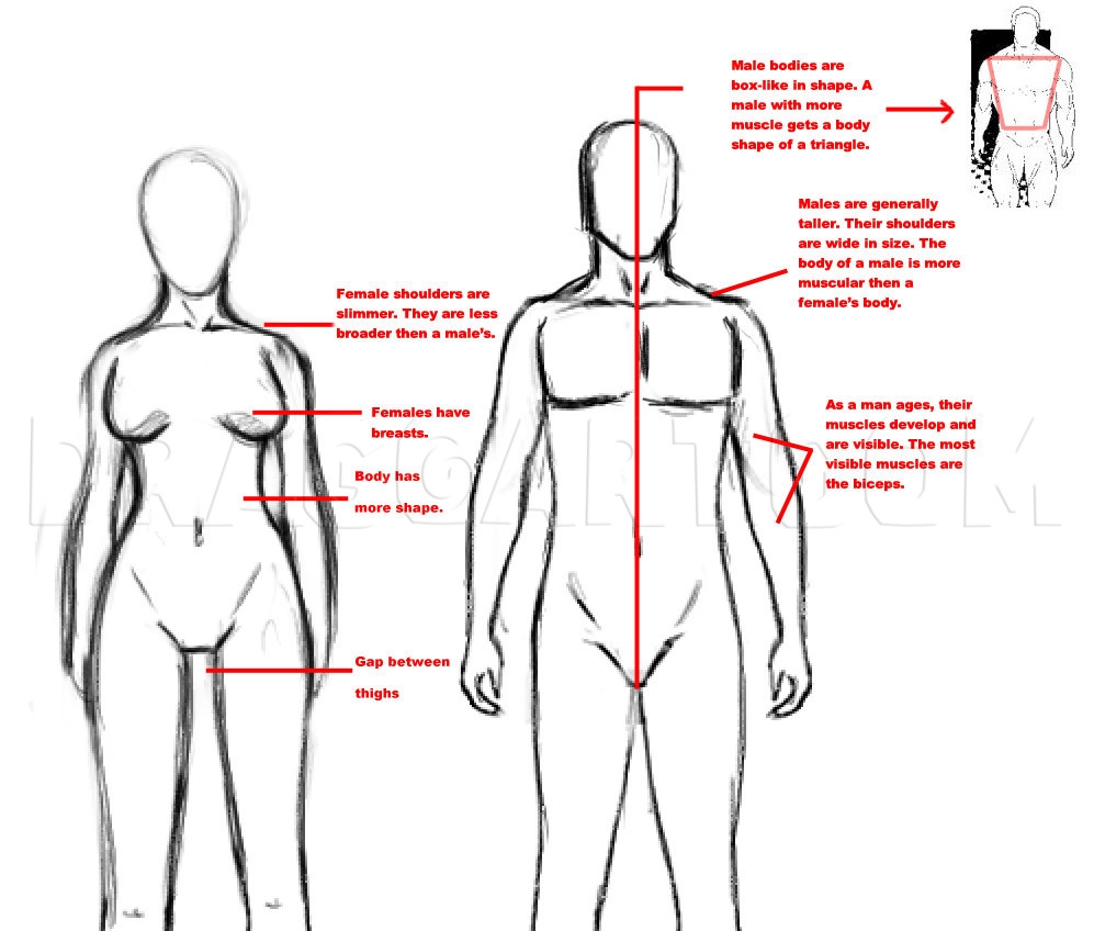 how to draw a realistic person