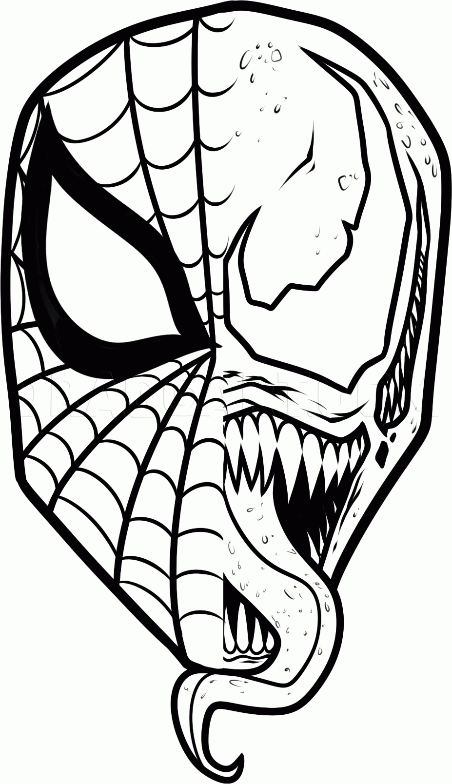 How To Draw Spiderman And Venom Drawing Step By Step By Dawn 