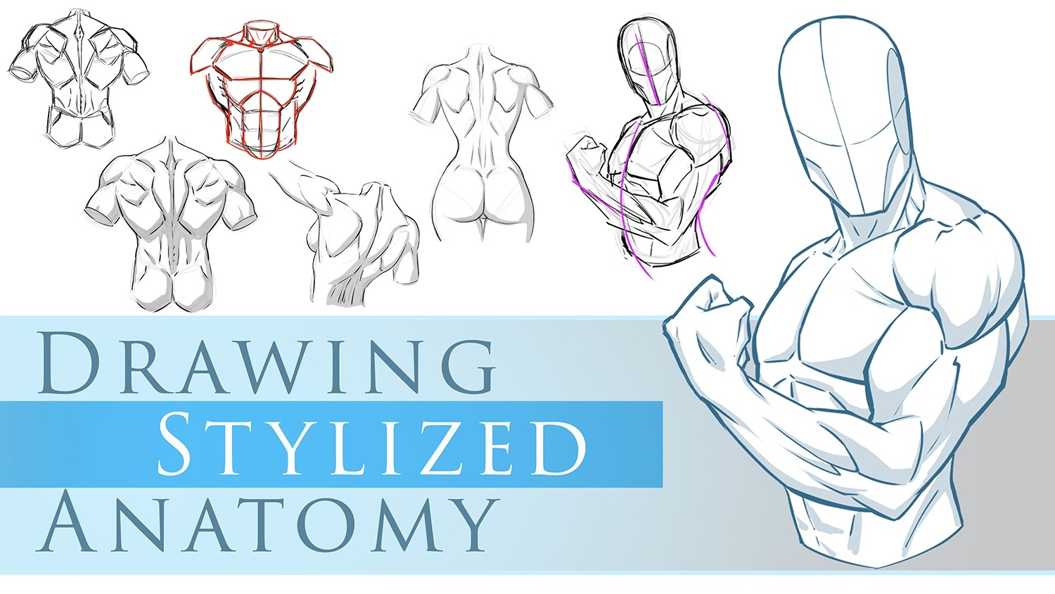 how to draw anatomy