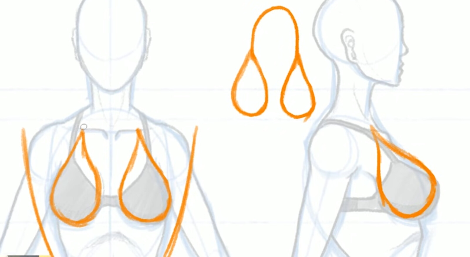 How To Draw The Female Body Body Shape Breasts Shoulders Hips 
