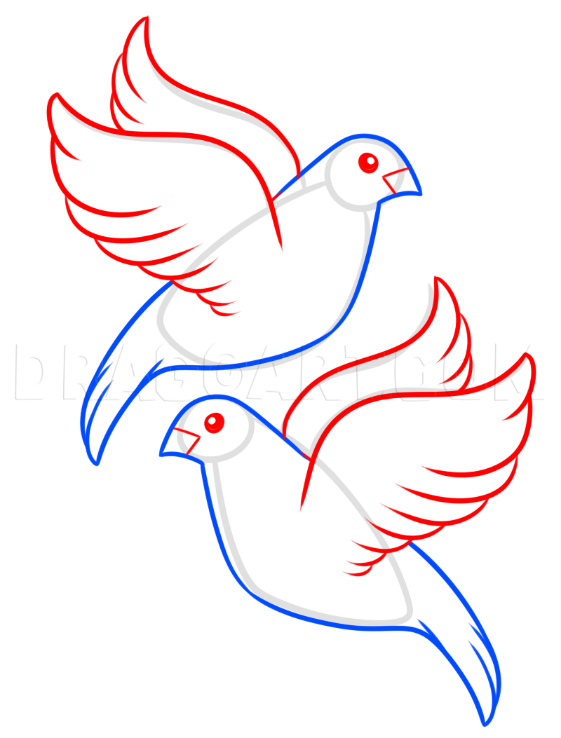 dove drawing easy