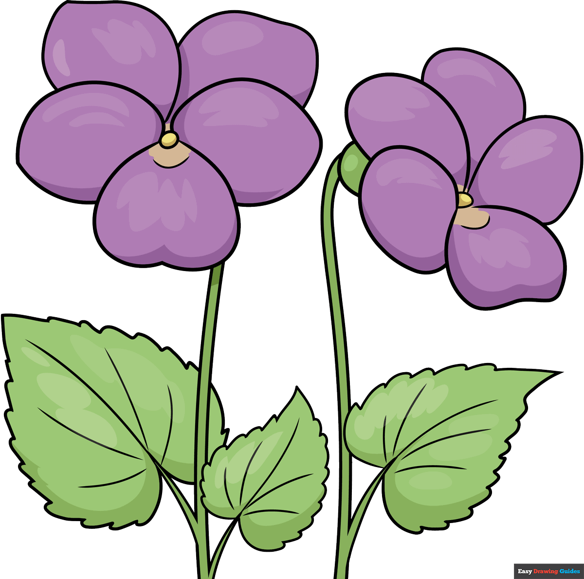 How To Draw Violets Really Easy Drawing Tutorial