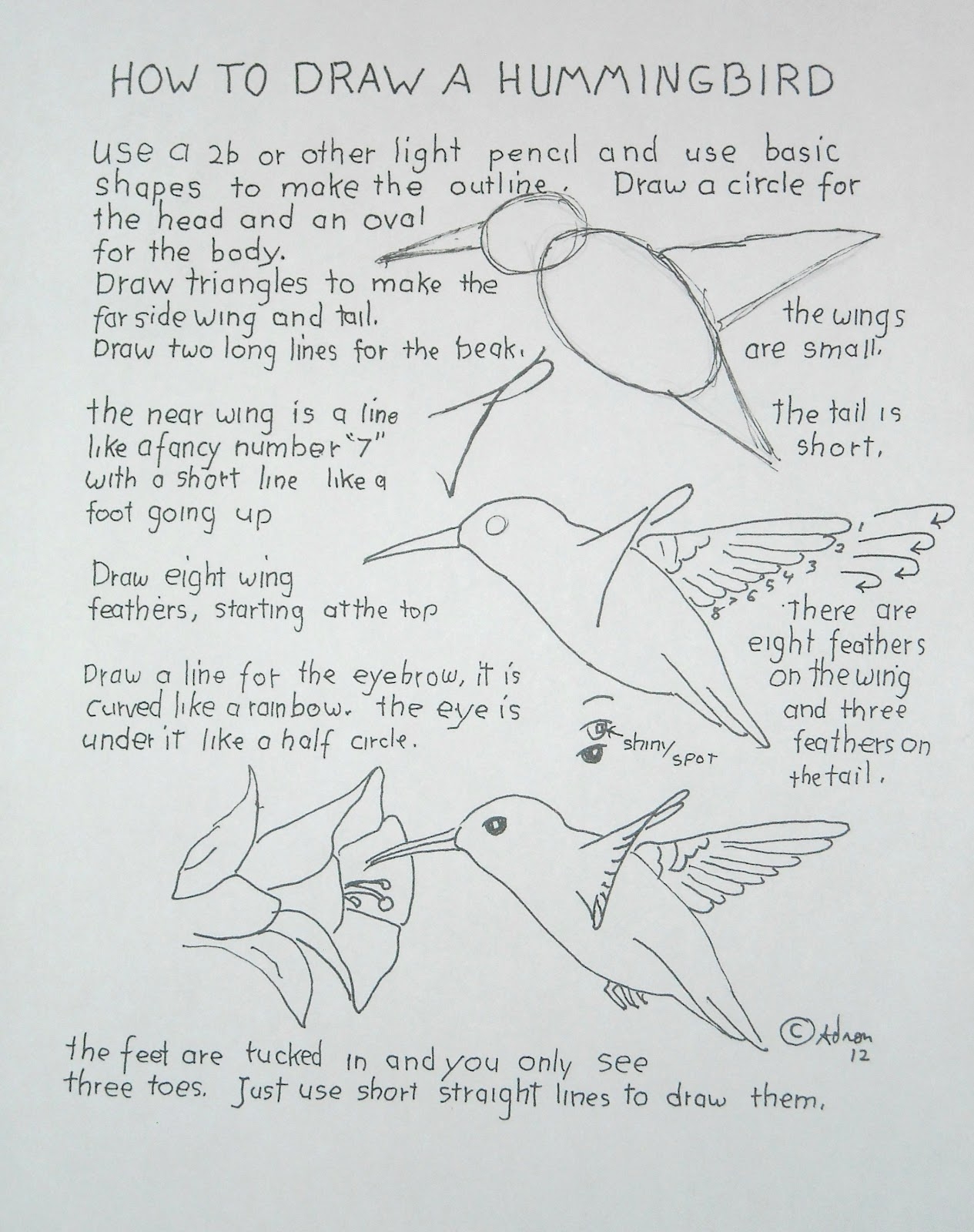 How To Draw Worksheets For The Young Artist How To Draw A 